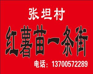 张坦村红薯苗一条街