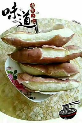 济南红薯（熟的）