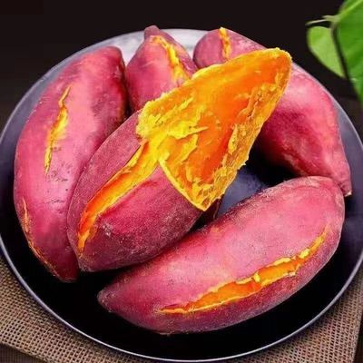 普薯32（西瓜红熟的）